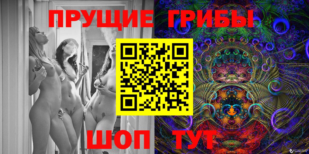Псилоцибиновые грибы Psilocybe Нефтекумск