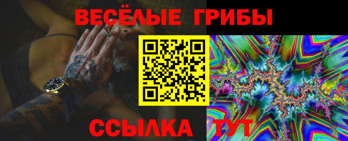Галлюциногенные грибы GOLDEN TEACHER  Псилоцибиновые грибы мицелий  Вход с VPN  Нефтекумск 